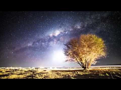 Astronaut Project - Pollito Intergaláctico (Video Lyric)