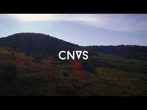CNVS - PAPALOTE (Video Oficial//Official Video)
