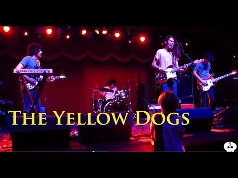 The Yellow Dogs @ Brooklyn Bowl